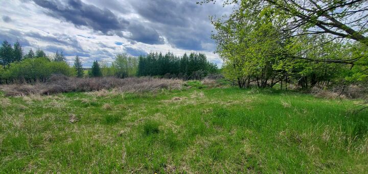Property Photo: 100 Street 8342 AB T0A 2C0