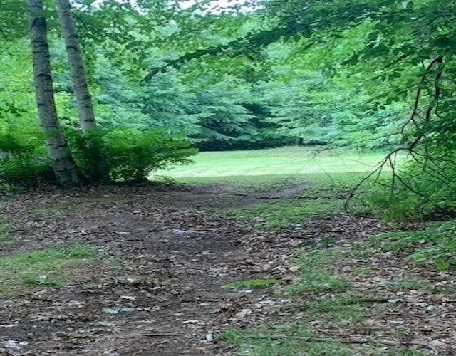 Property Photo: 112 Plummer Hill Road NH 03220