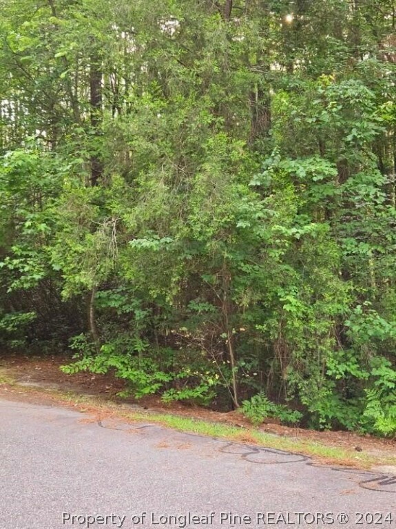 662 Wren Lane  Vass NC 28394 photo