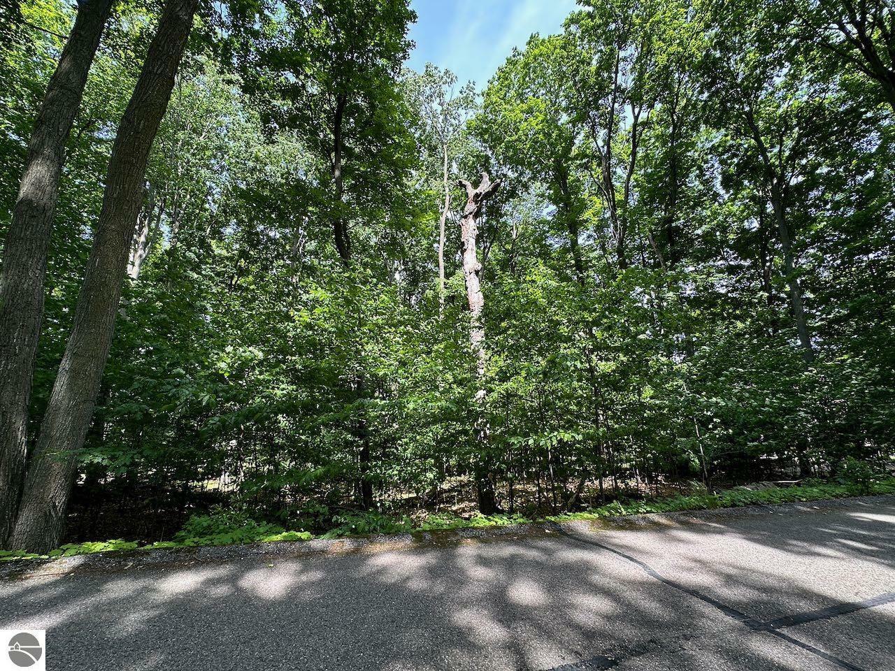 Property Photo:  32 Golf Meadows Drive  MI 49615 