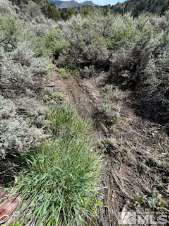 Property Photo:  4720 Lost Burro Road  NV 89521 