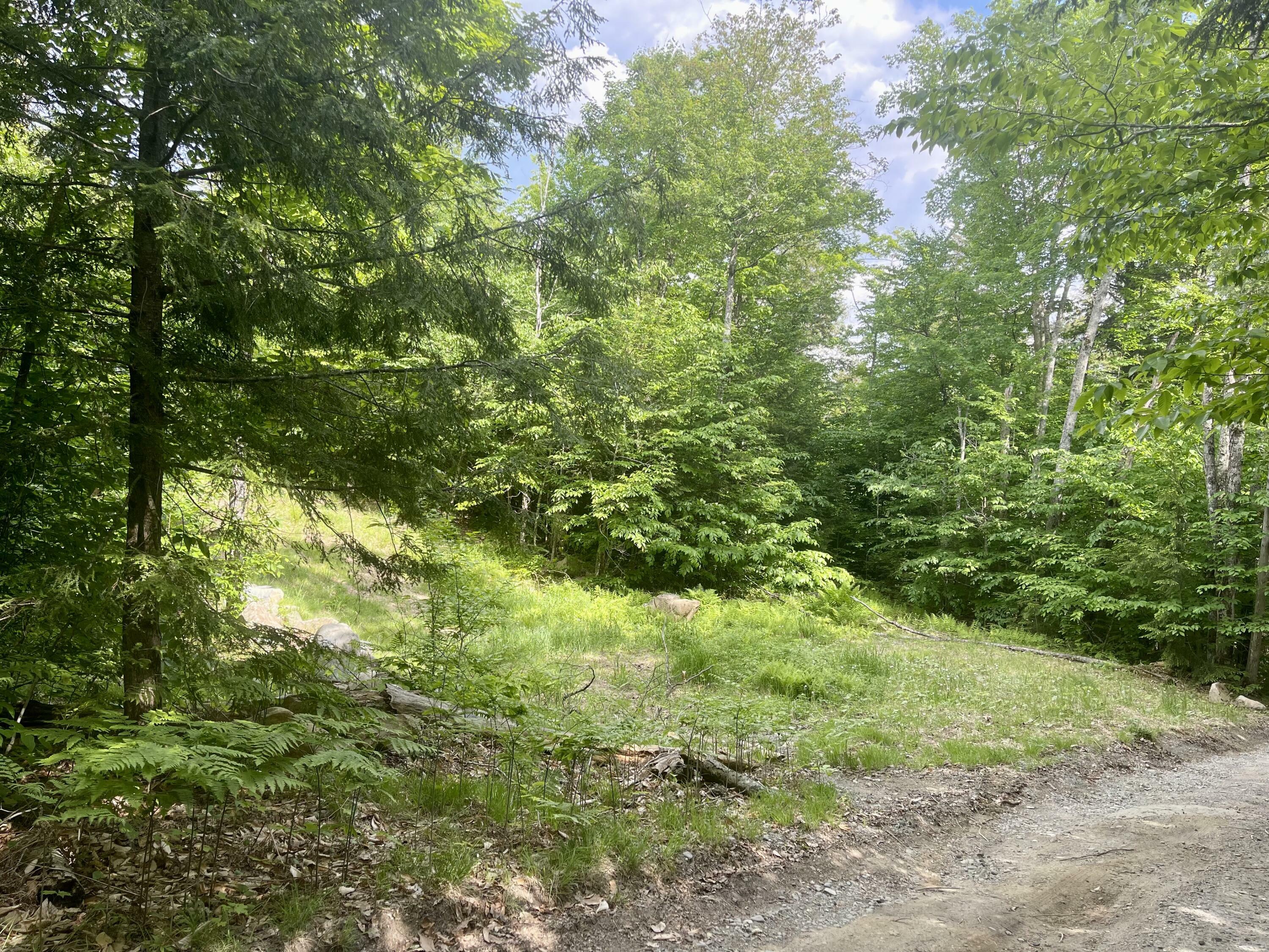 Property Photo:  Lot 15A-1 Scammon Road  ME 04441 