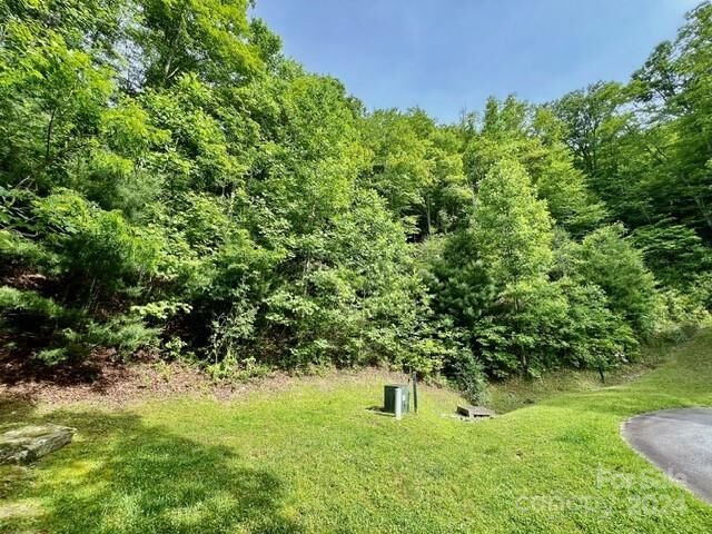 271 Mountain Morning Lane 41  Hendersonville NC 28739 photo