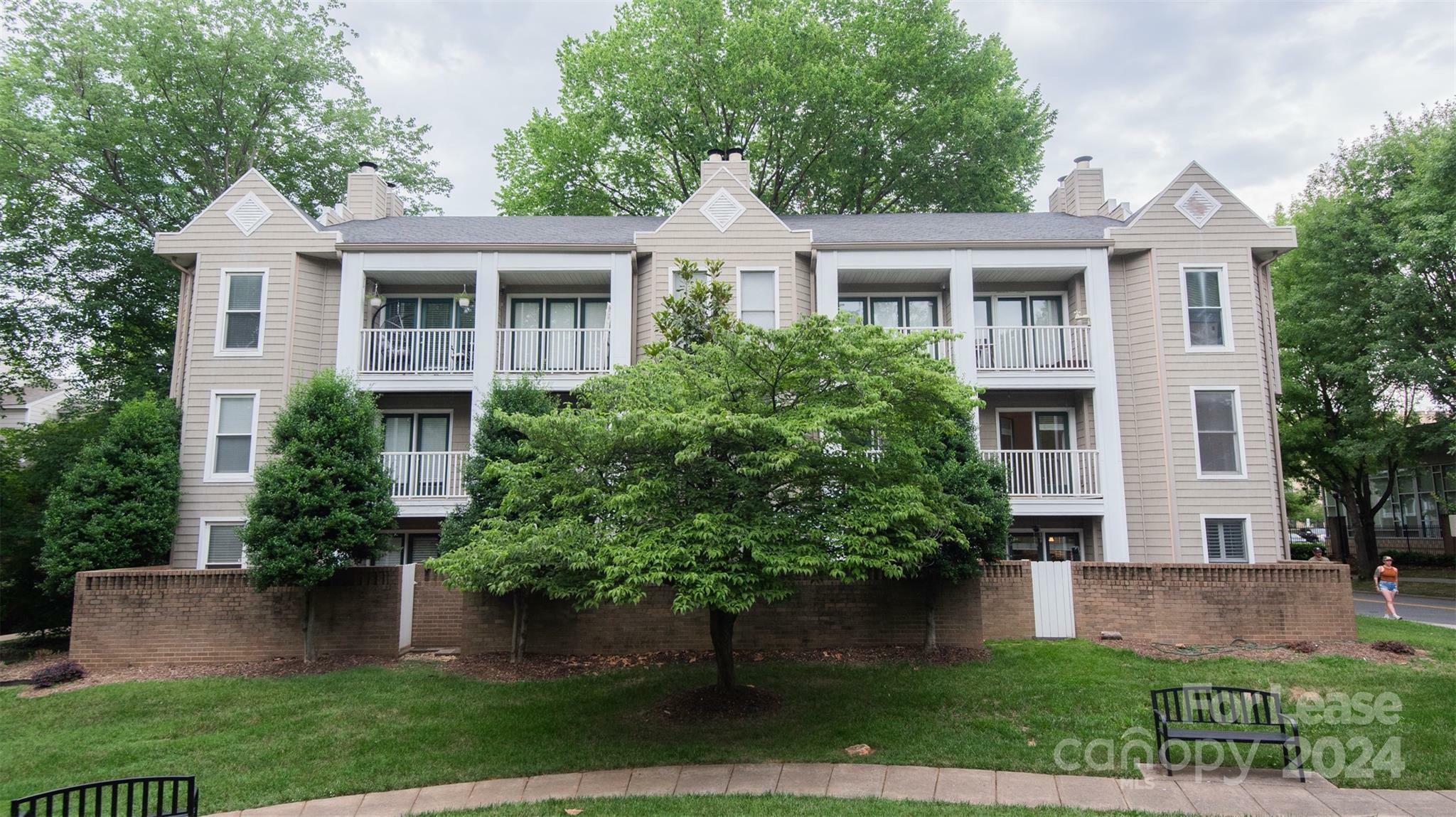 Property Photo:  244 Cedar Street 4  NC 28202 