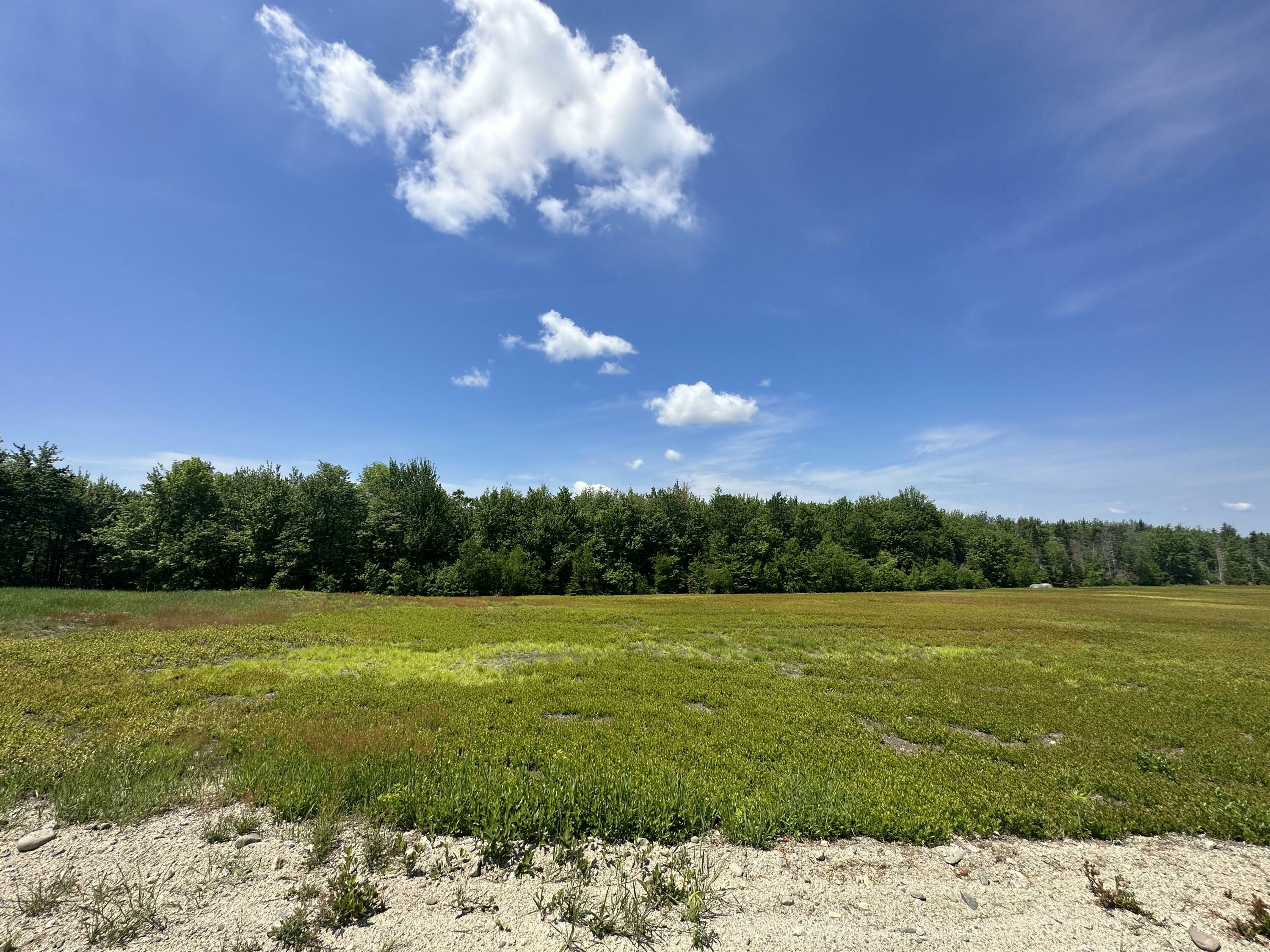 Property Photo:  Map13lot9 Martins Ridge Road  ME 04634 