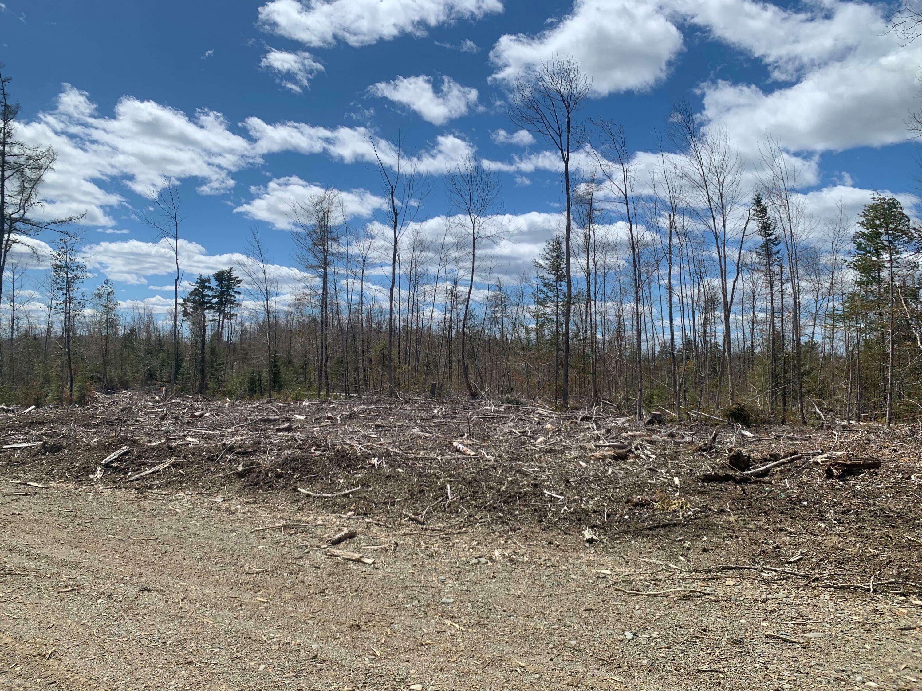 Property Photo:  0A Clearcut Lodge Road  ME 04487 