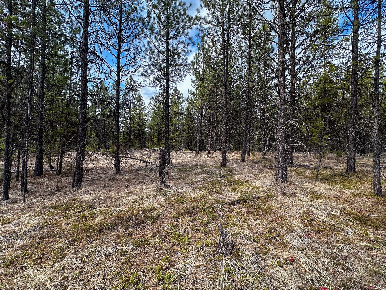 Property Photo: Lot 10 Acm Road N MT 59923