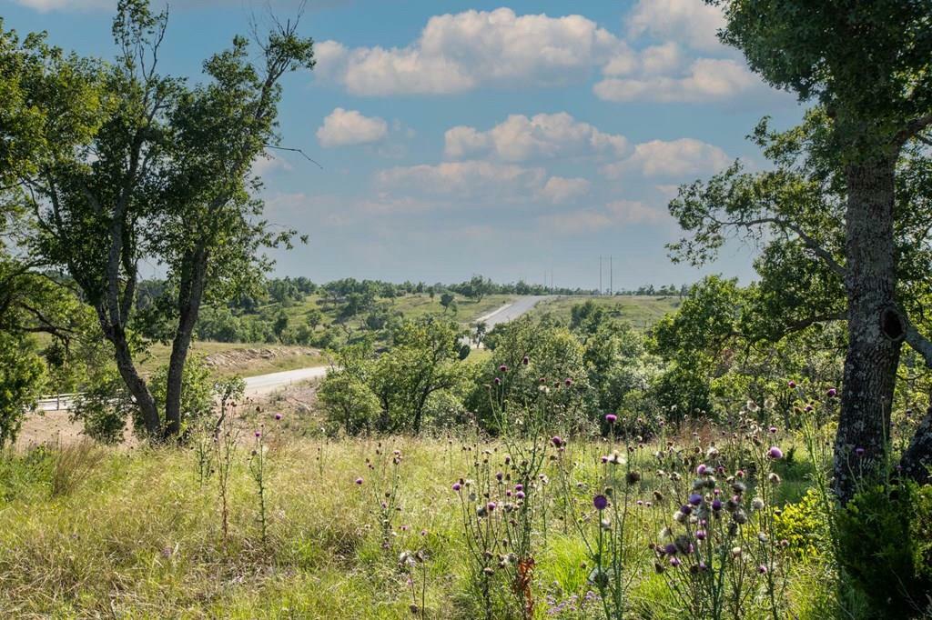 Property Photo:  Lot 21 Canyons Dr  TX 78624 