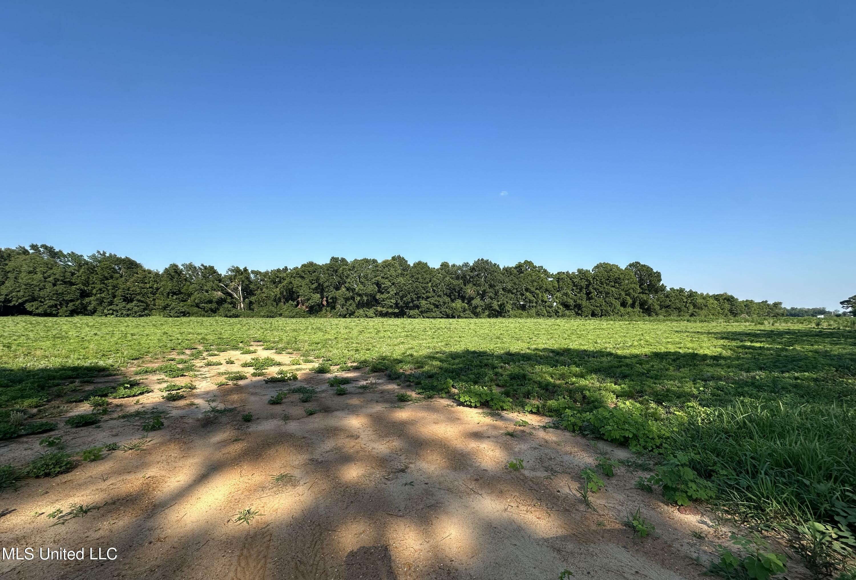 Lot 3 Marshall Smith Road  Lucedale MS 39452 photo