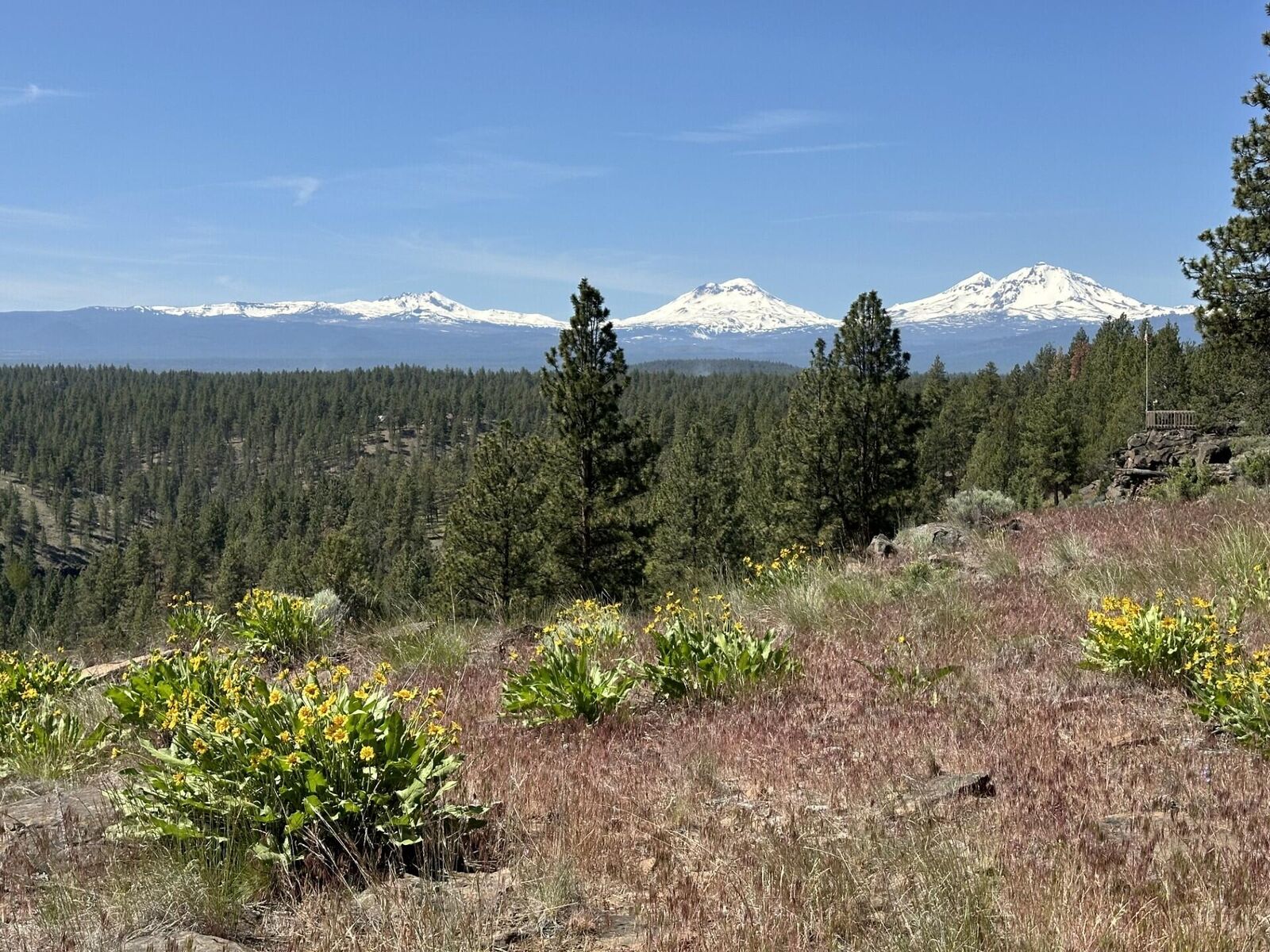 Property Photo: 17127 Mountain View Road OR 97759