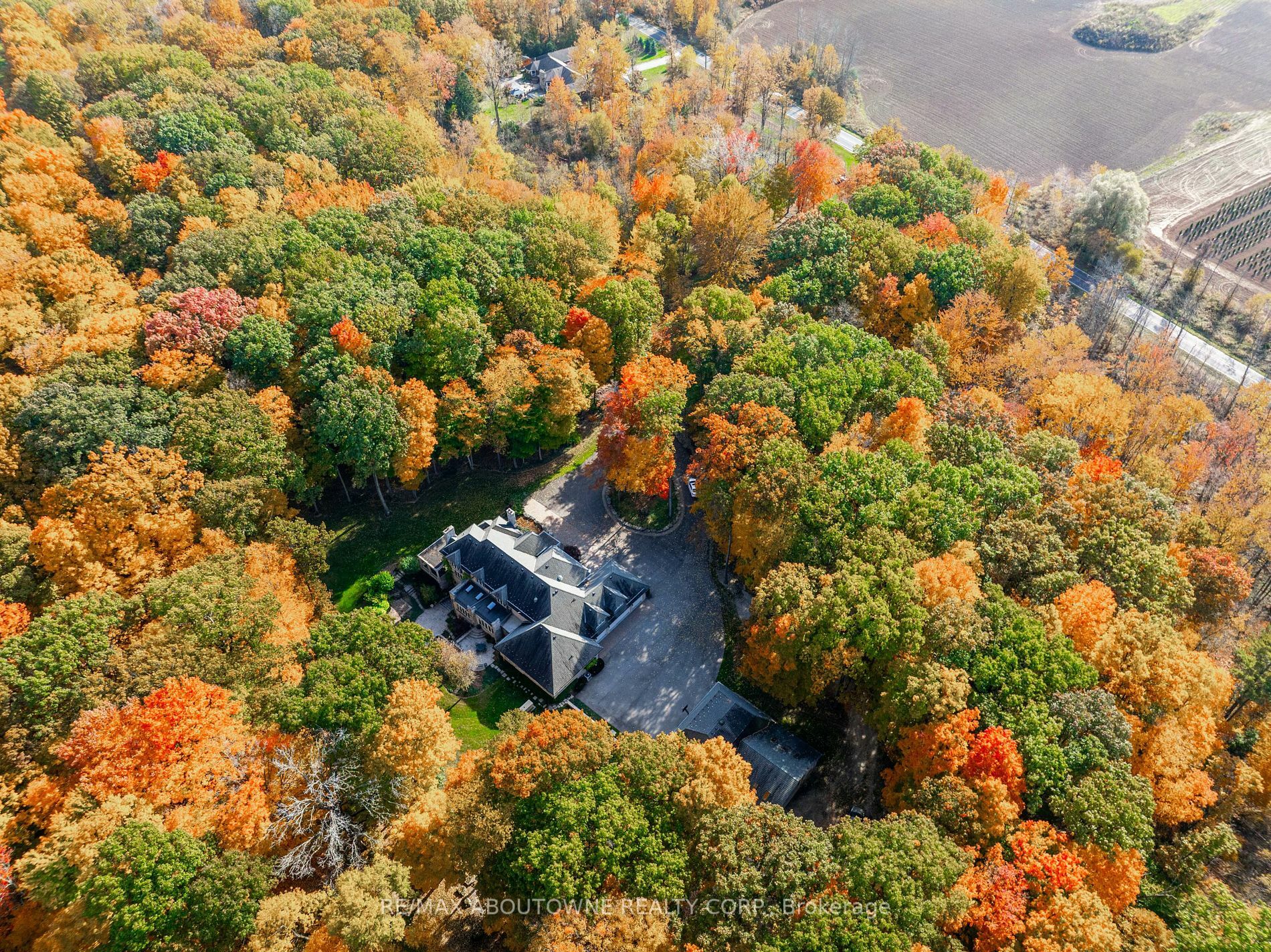 Photo de la propriété:  3400 Milburough Line  ON L0R 2H0 