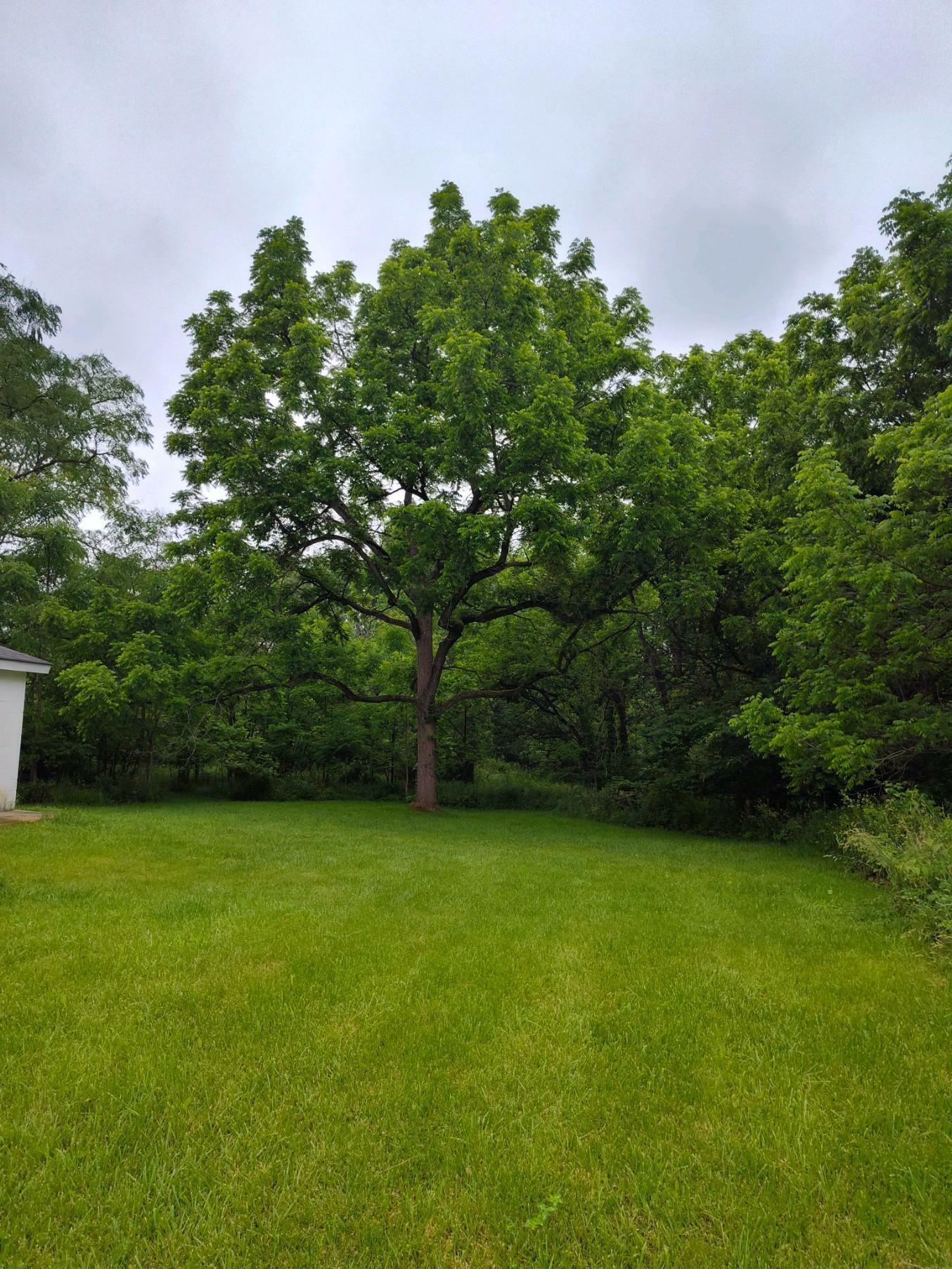 Property Photo:  5637 Township Road 21  OH 43334 