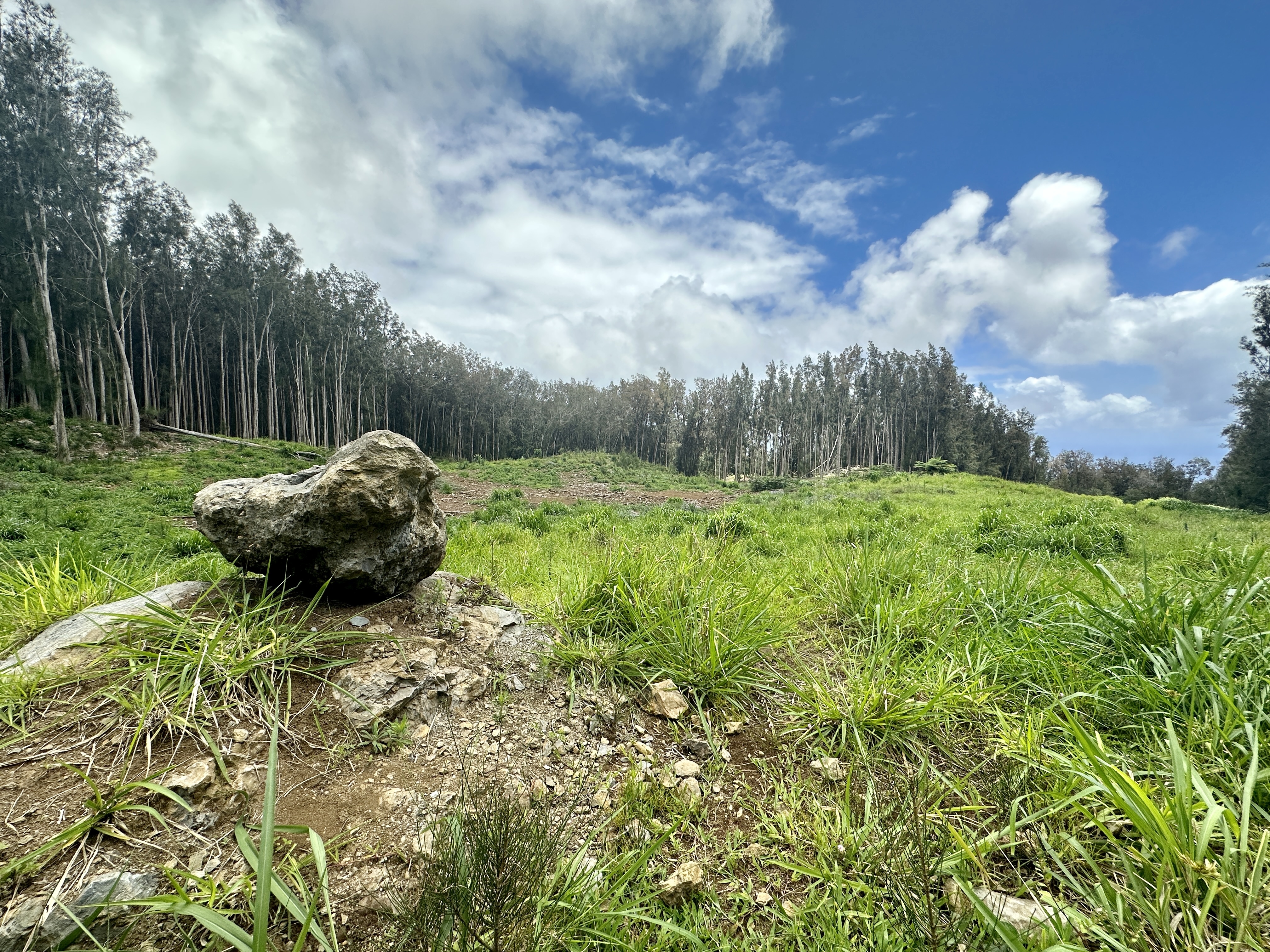 Property Photo: Cane Haul Rd HI 96727