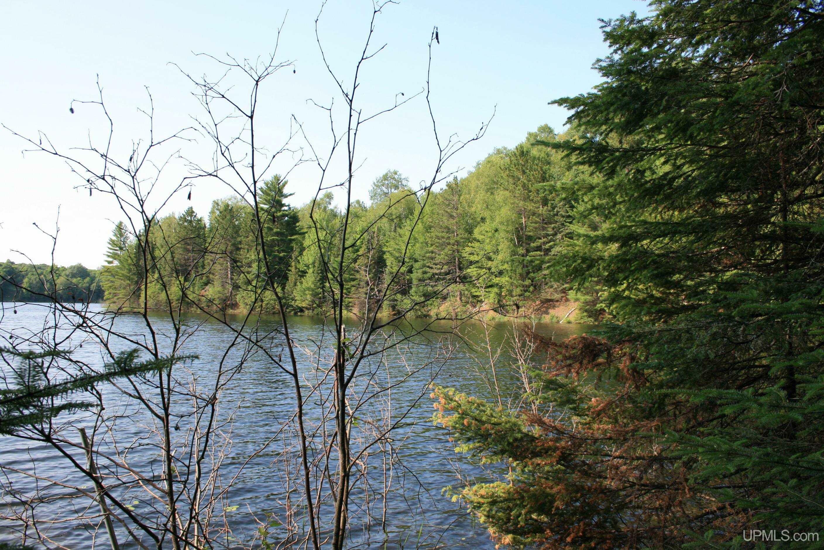 Property Photo:  Tbd Sucker Lake  MI 49969 