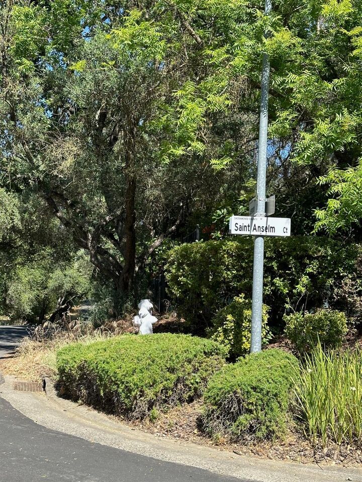 4121 Saint Anselm Court  Fair Oaks CA 95628 photo