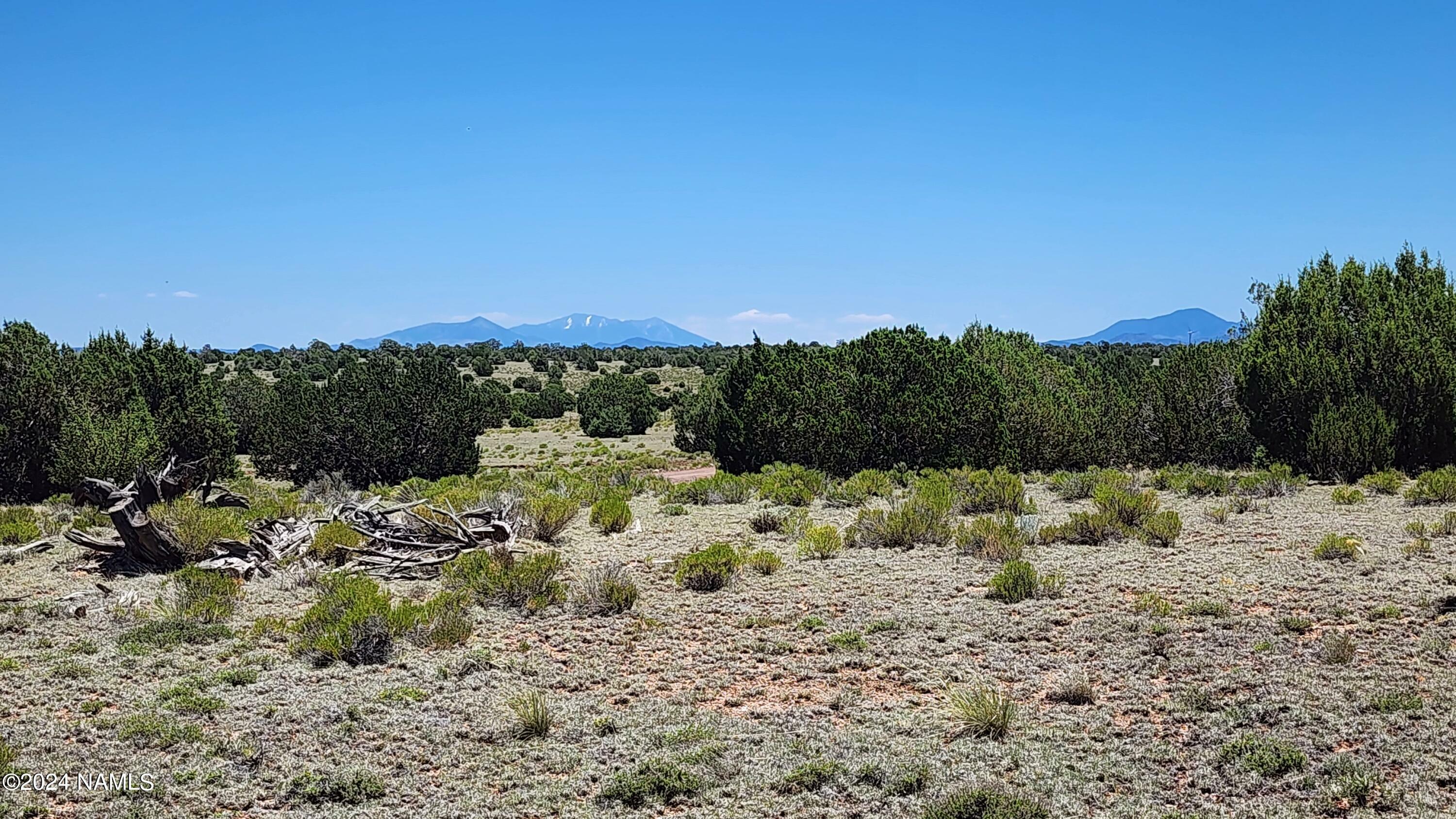 Property Photo:  10624 Espee Road  AZ 86046 