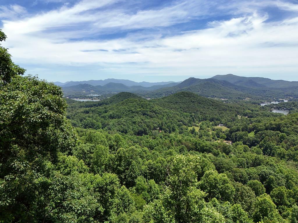 Property Photo:  Lot 29 Hidden Summit Road  GA 30546 