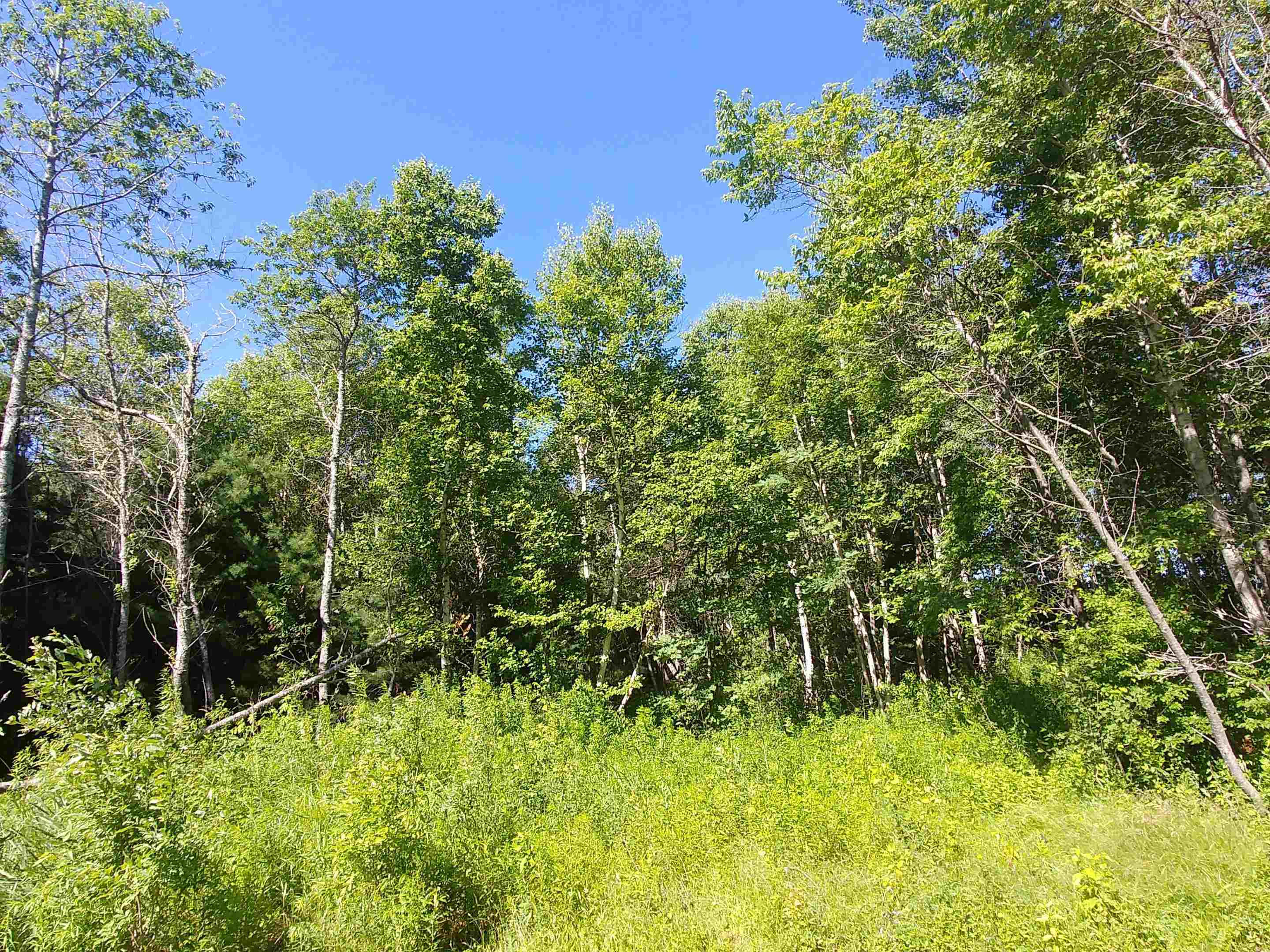 Photo de la propriété:  Lot 4 Birch Lane Lane  PE C0A 1L0 