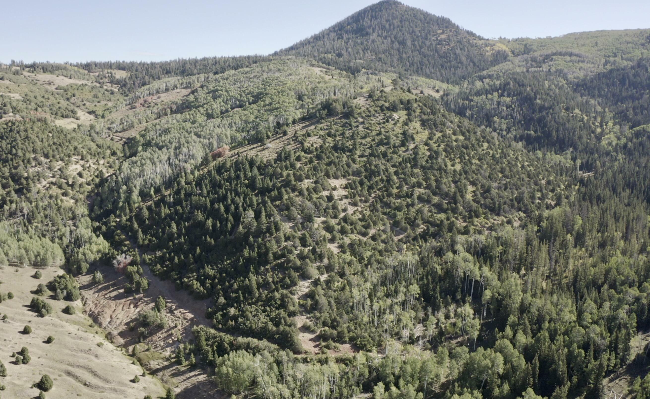 80 Acres  Brian Head UT 84719 photo