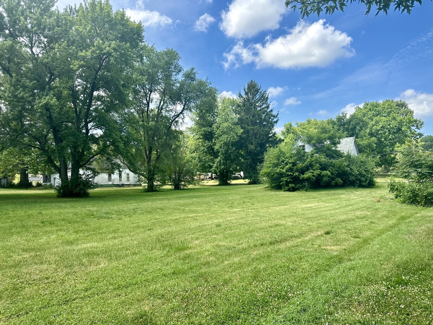 Property Photo:  308 N East Street  IL 61778 