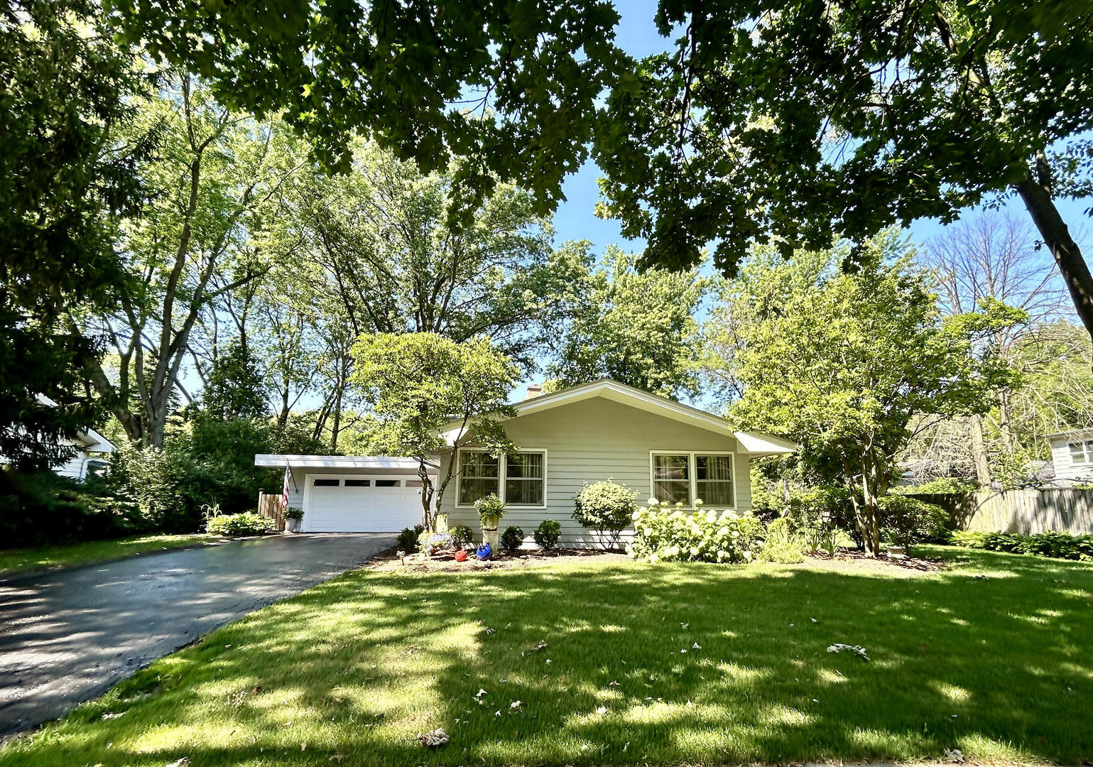 Property Photo:  1117 Laurel Lane  IL 60540 