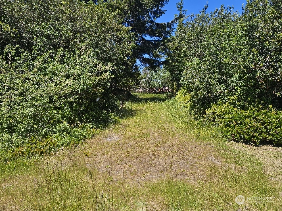 Property Photo:  280 Seashore Street SW  WA 98569 