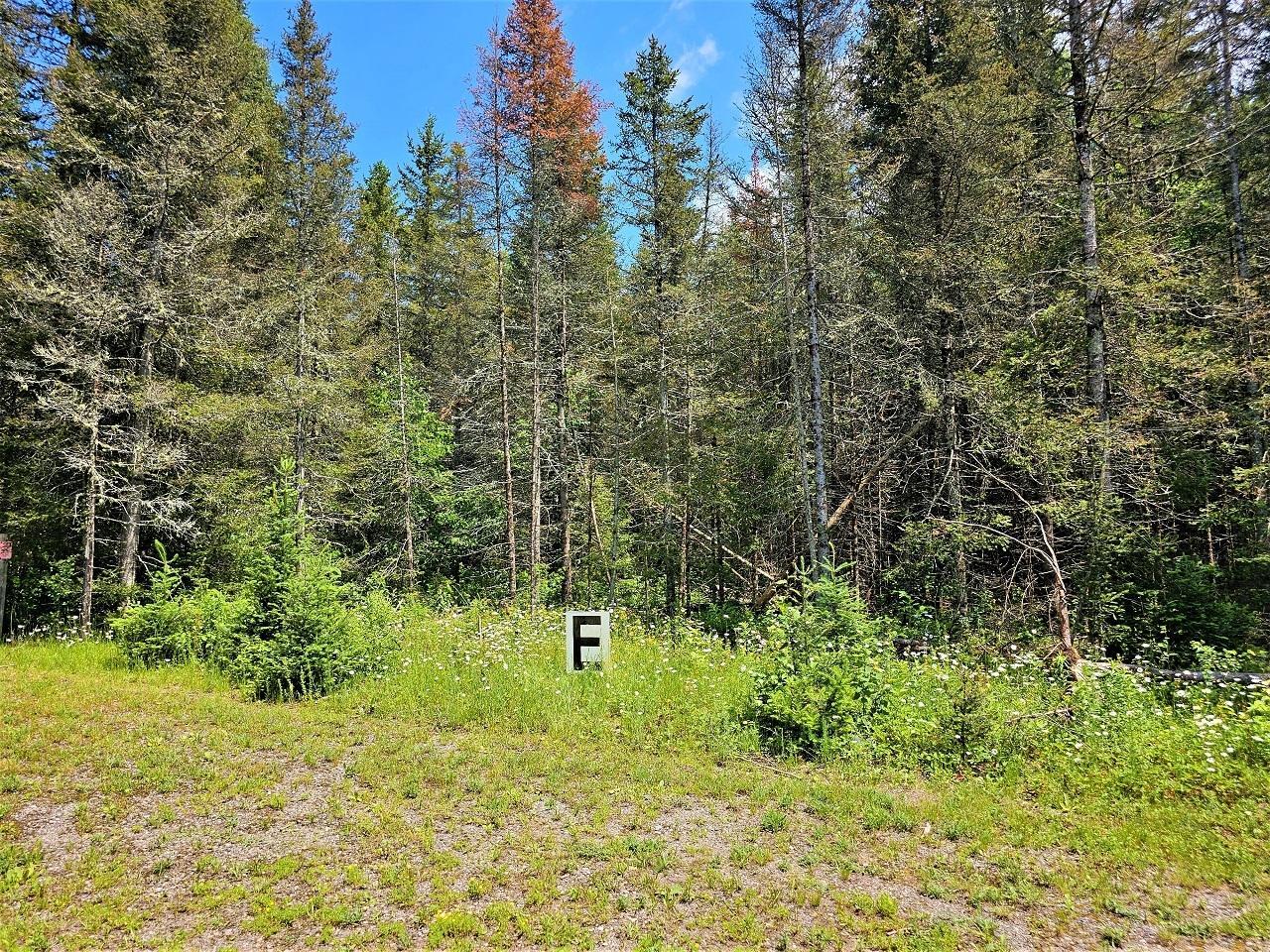 Property Photo:  Lot E Homers Rd  WI 54547 