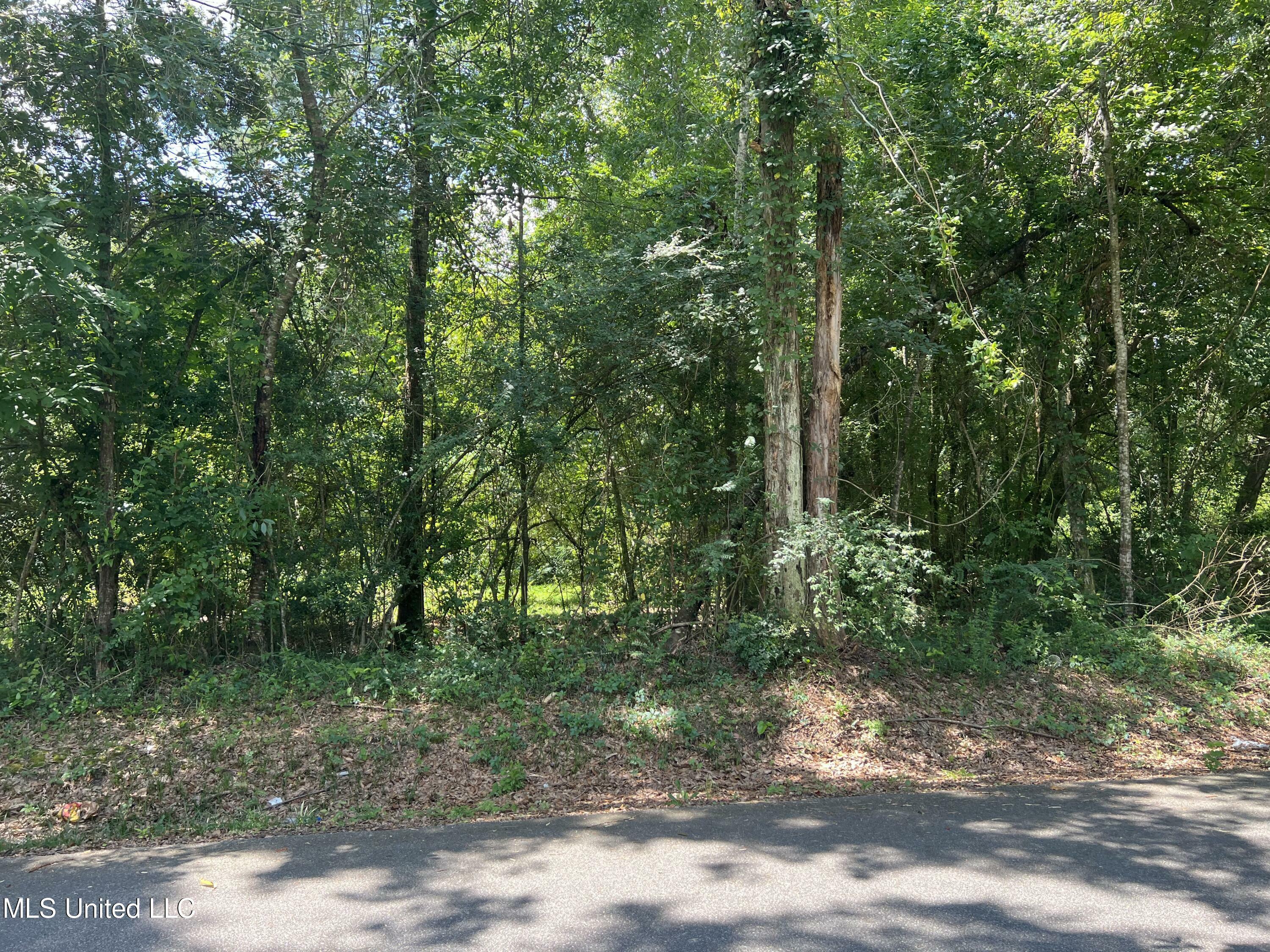 Property Photo:  Ridgeway Road  MS 39503 