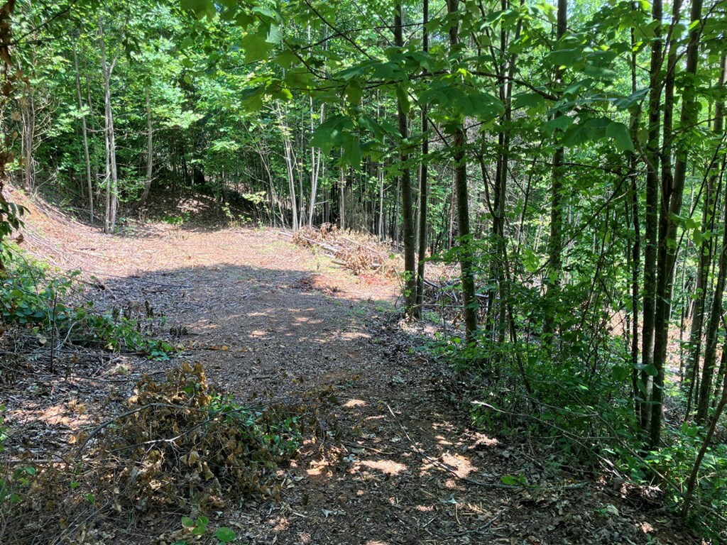 Property Photo:  13 View Ridge Trail  NC 28906 