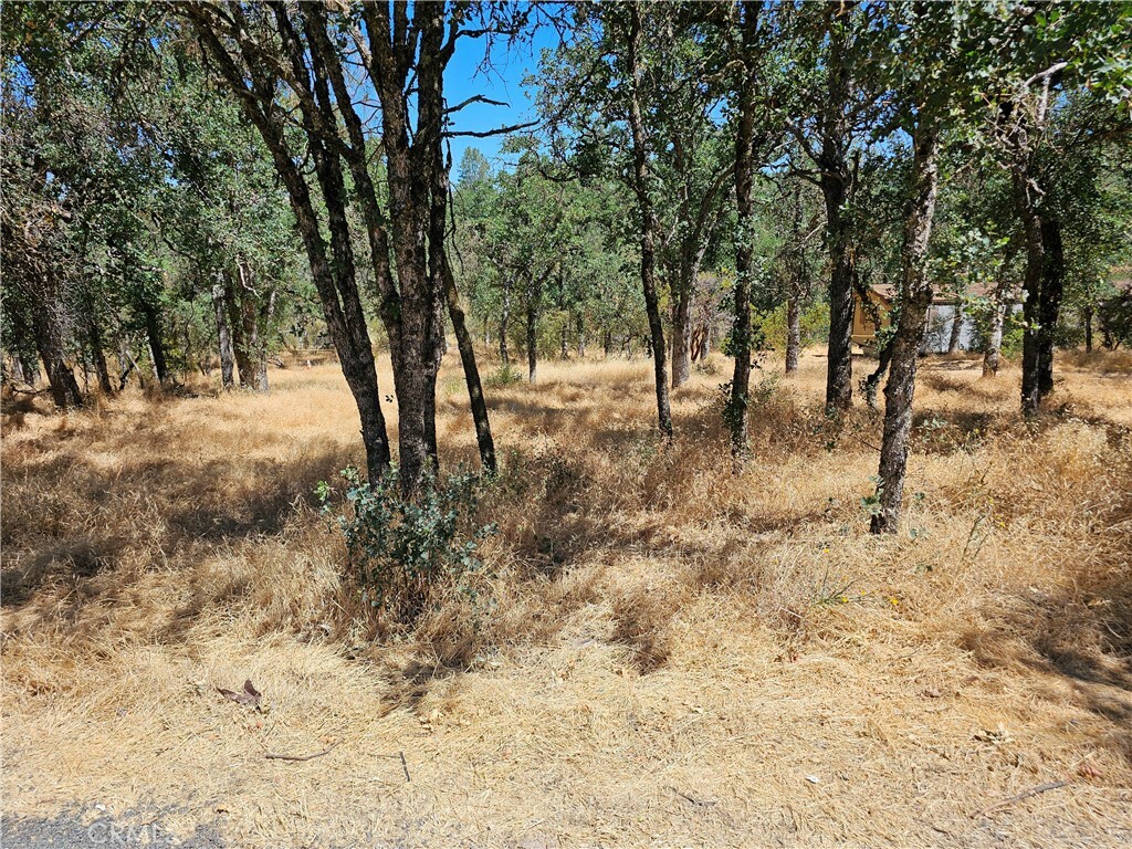 Property Photo:  15676 34th Avenue  CA 95422 