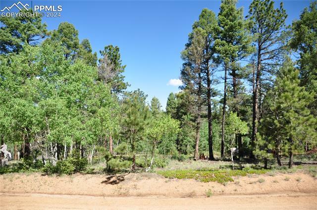 Property Photo:  1271 Rangeview Road  CO 80814 