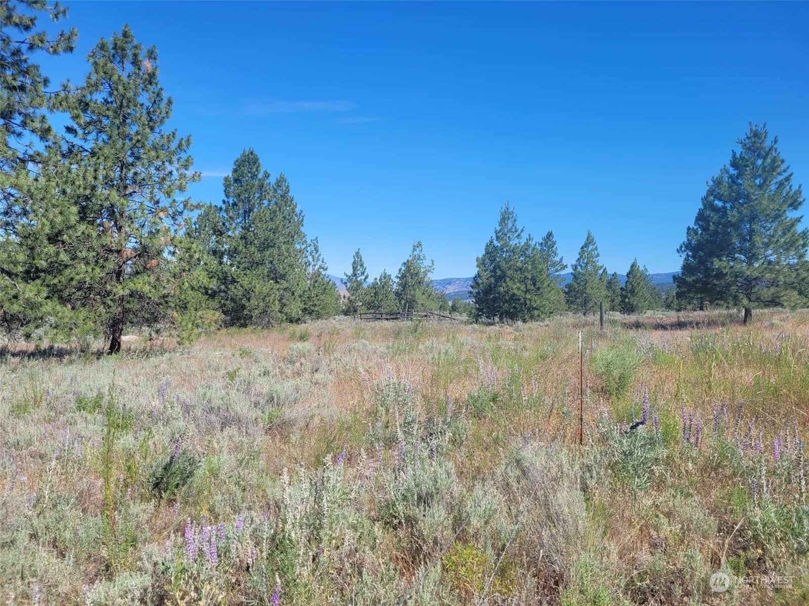 Property Photo:  0 Rehmke Road  WA 98855 