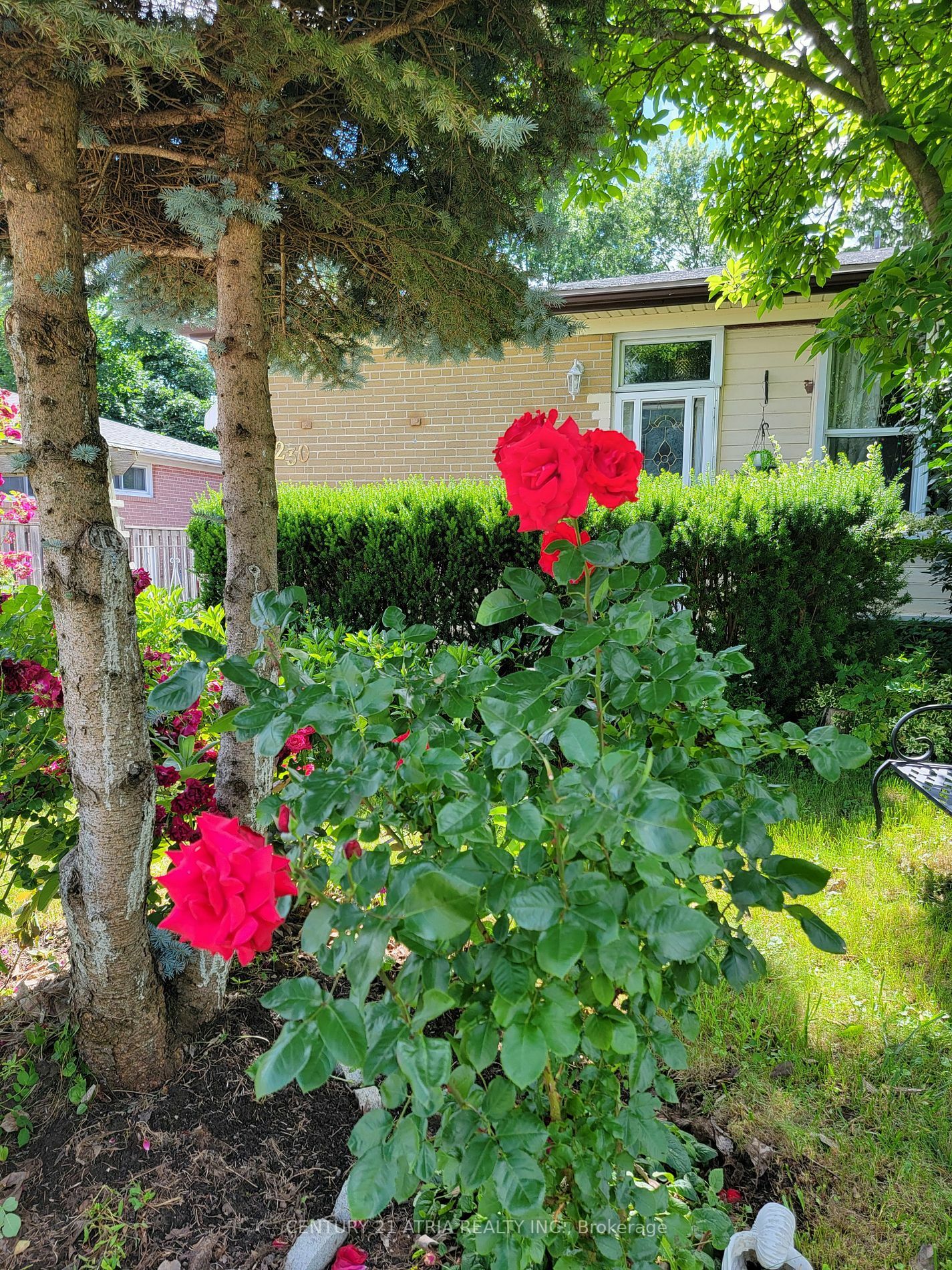 Property Photo:  230 Axminster Dr  ON L4C 2W1 