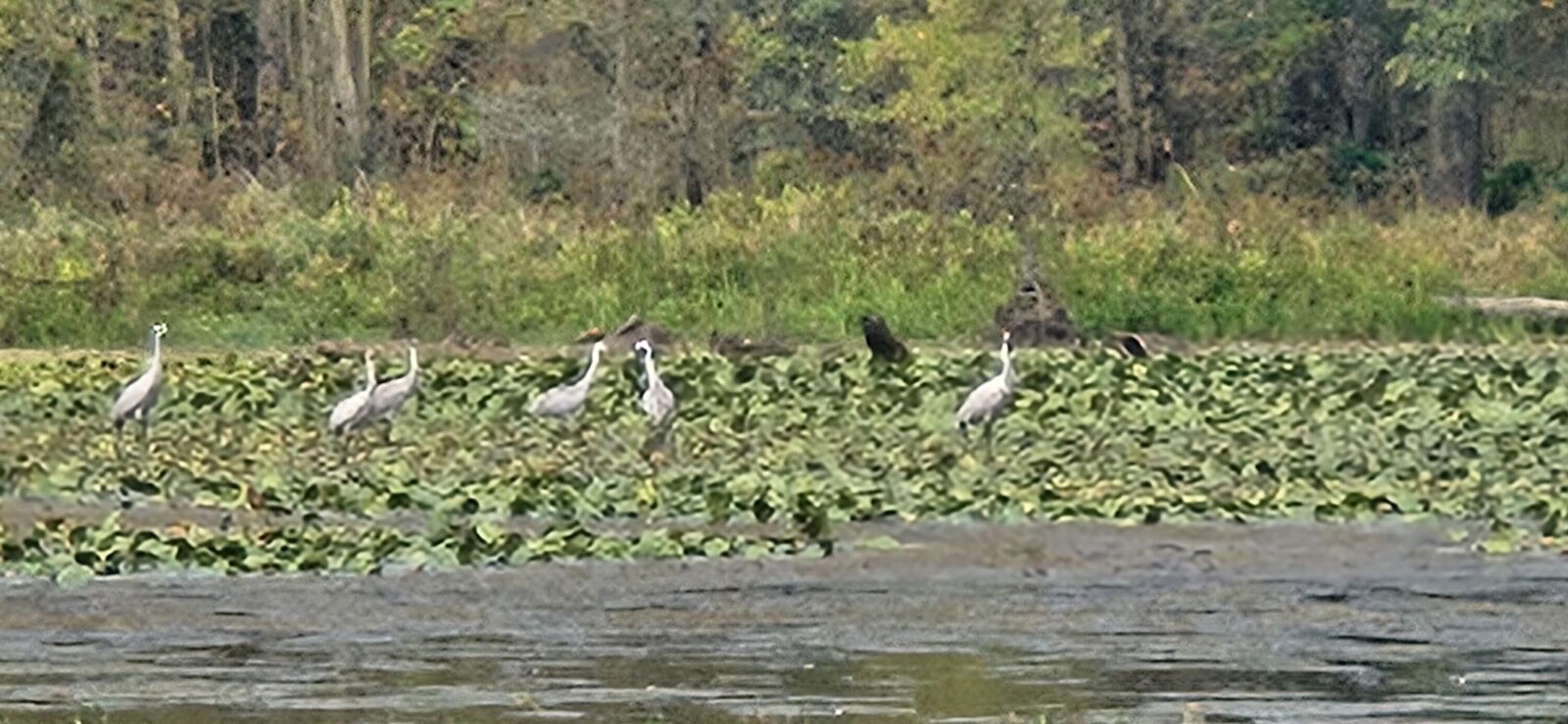 Property Photo:  2962 W US-12 Highway  MI 48158 