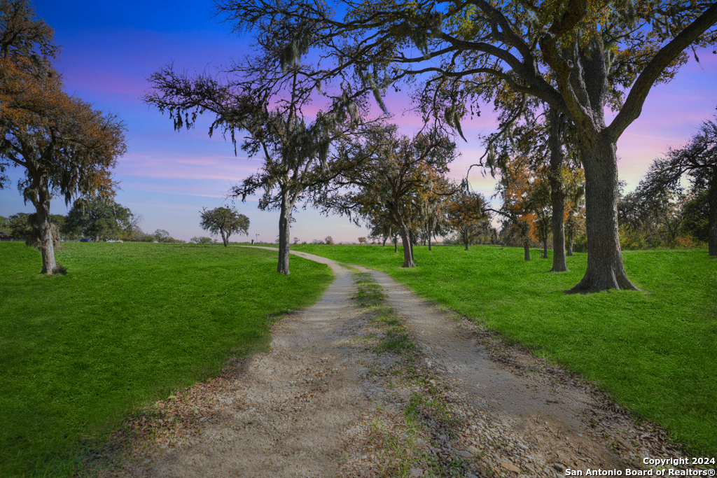 Property Photo:  2955 Francis Harris  TX 78130 