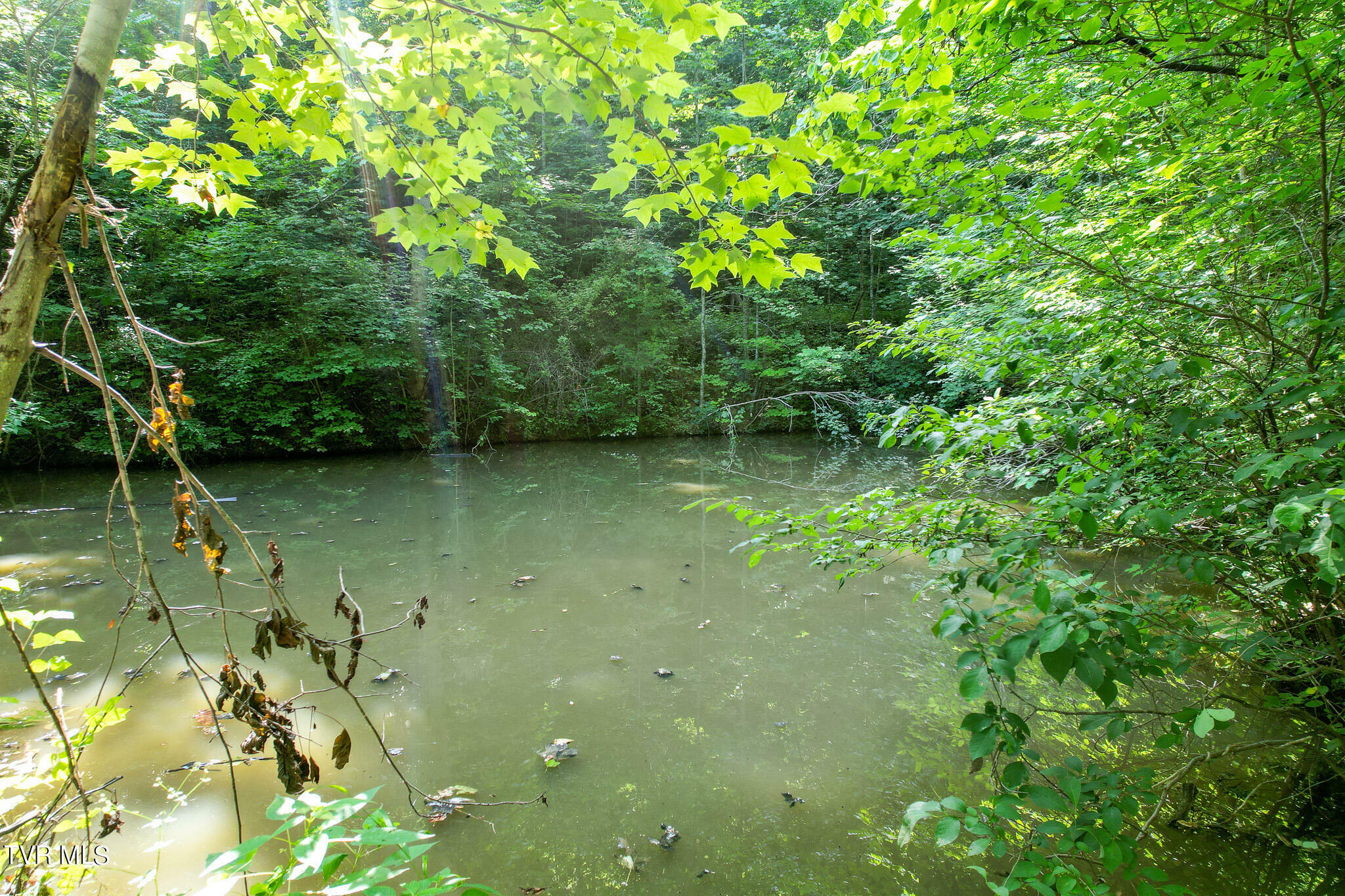 Property Photo:  728 Wattenbarger Gap Road  TN 37745 