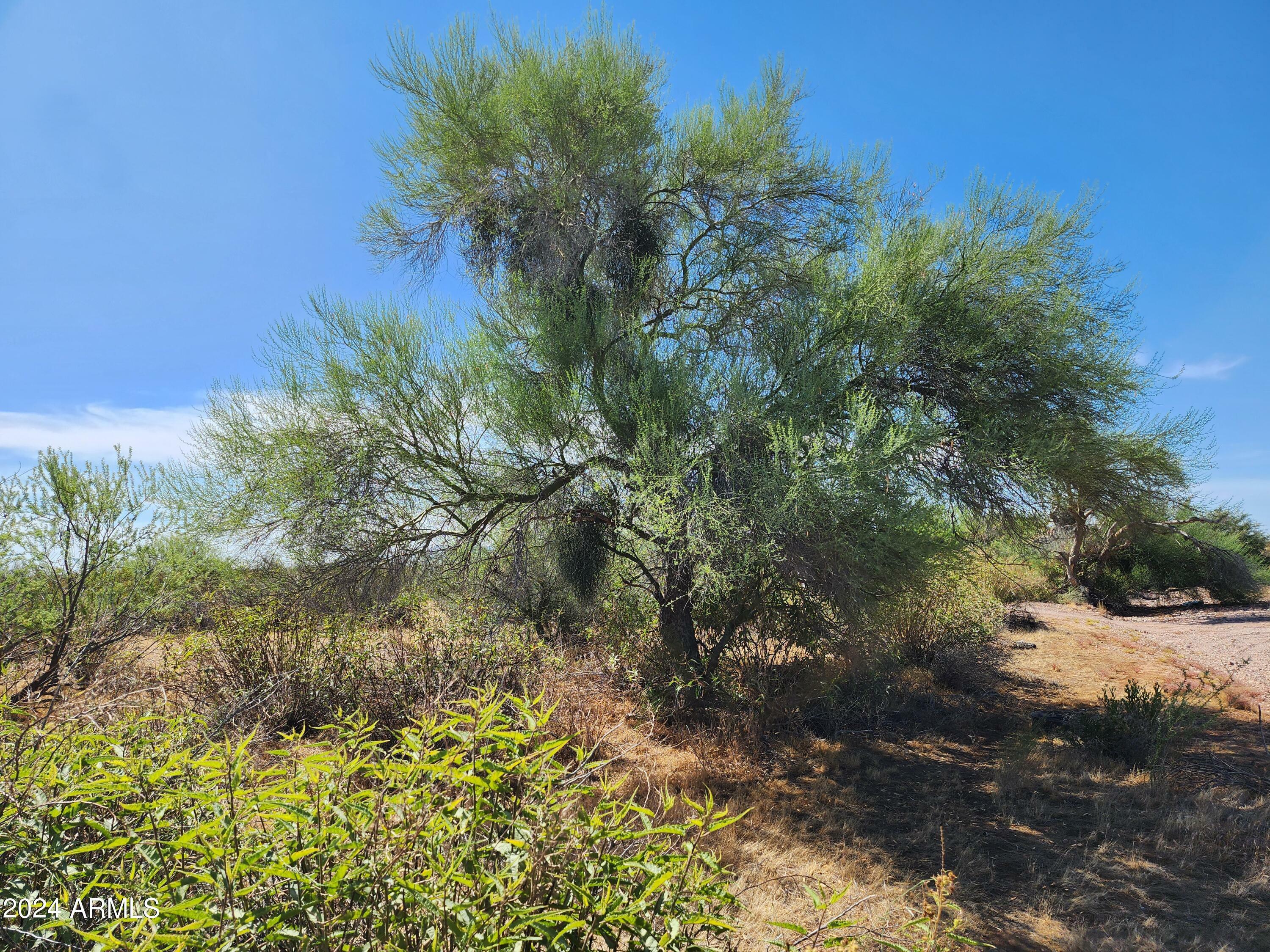 Property Photo:  000 W Lone Mountain Road 125  AZ 85361 