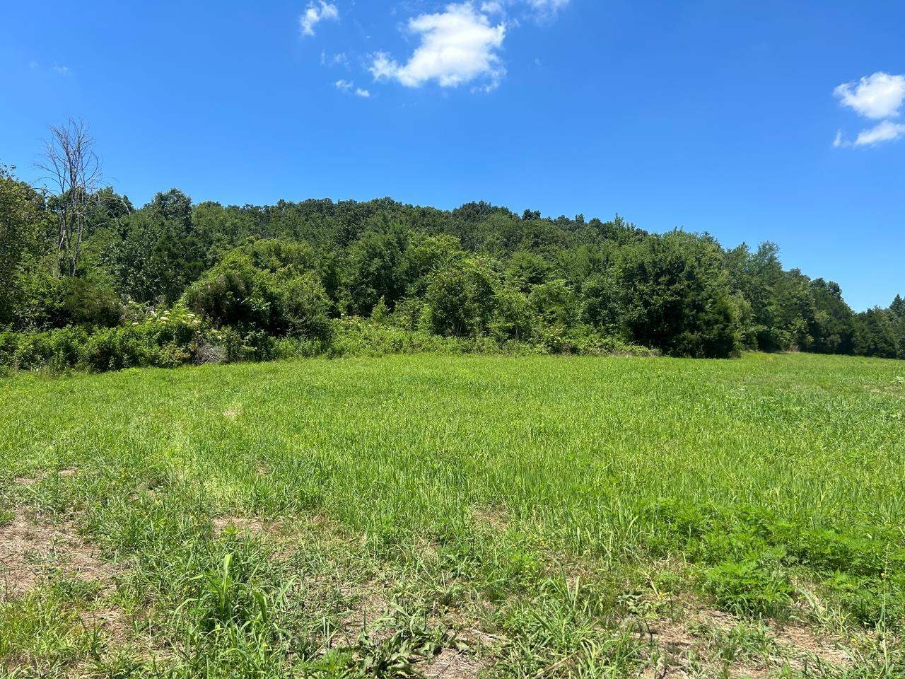 Property Photo:  Tract 2 Brownsville Road  KY 42261 