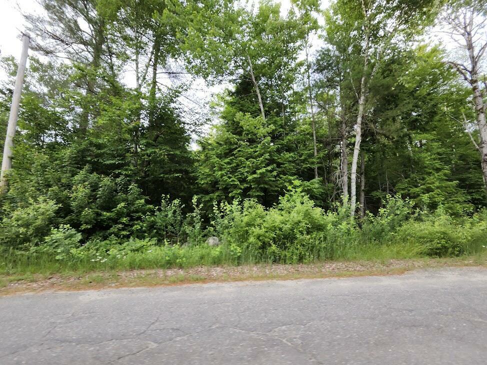 Lot 24 Rice Farm Road  Millinocket ME 04462 photo