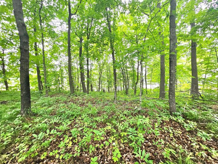 Property Photo: Tbd East Grace Street MN 56342