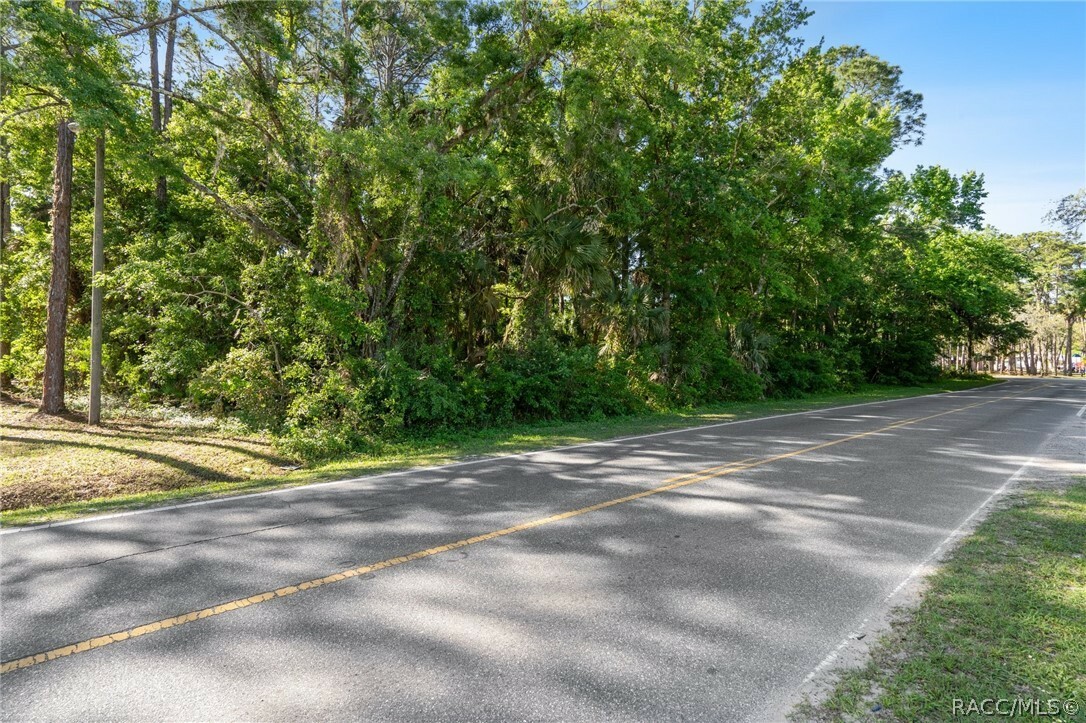 Property Photo:  8274 W Homosassa Trail  FL 34448 