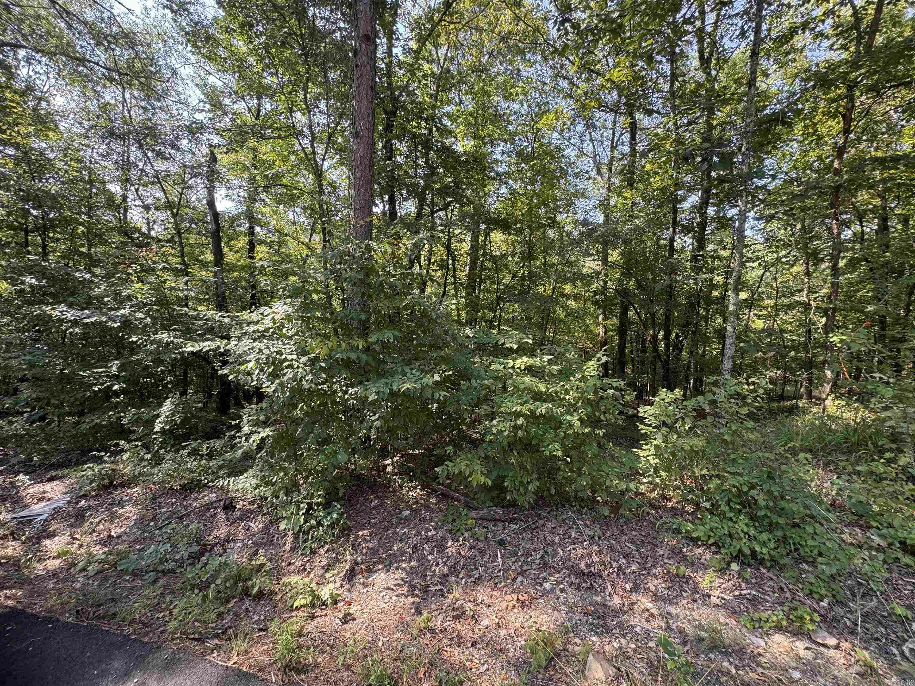 Property Photo:  Xxx Woodview Lane  AR 72150 