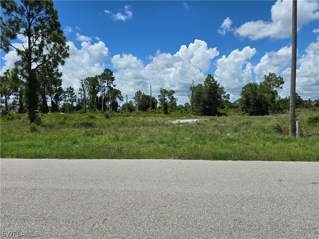 Property Photo:  1221 Ecclus Street E  FL 33974 