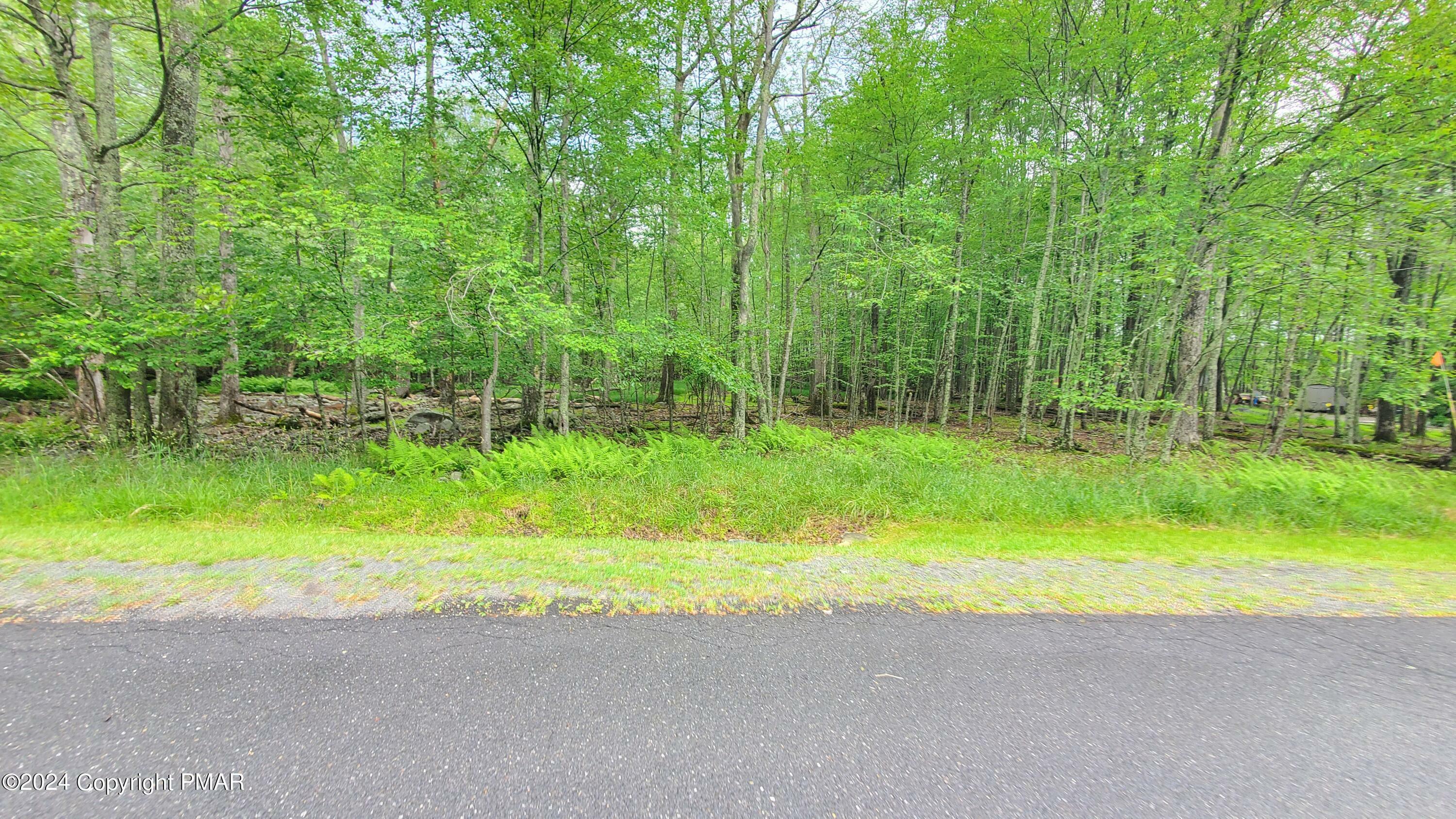 Lot 106 Wilderland Road  Tamiment PA 18371 photo