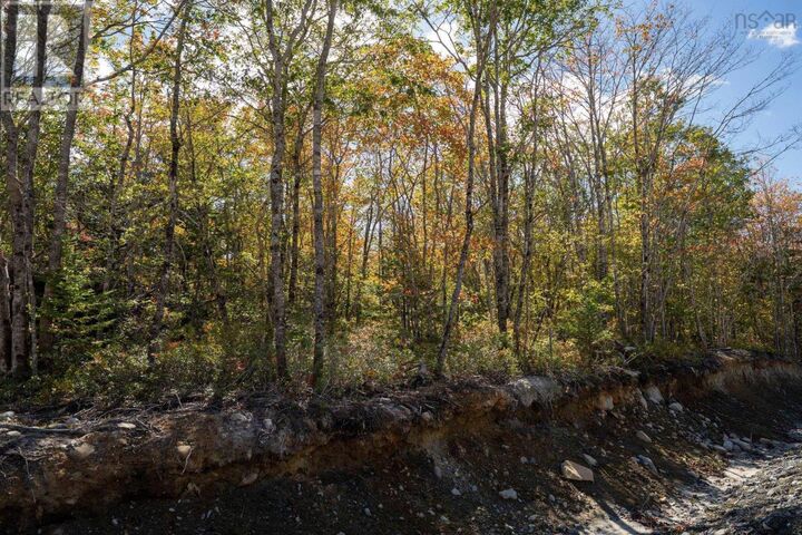67 Morton Drive — photo 1