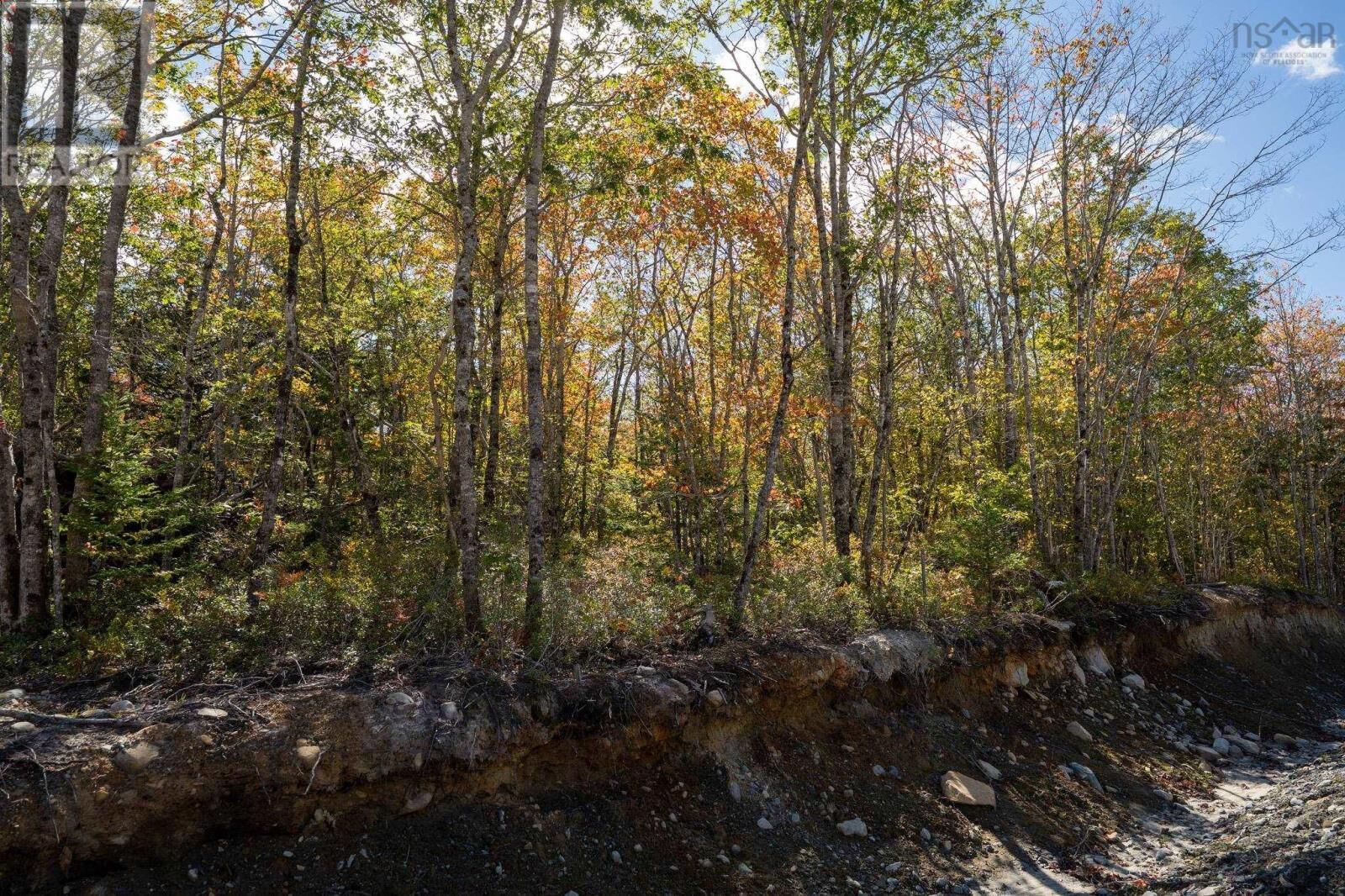 Property Photo:  67 Morton Drive  NS B0T 1K0 