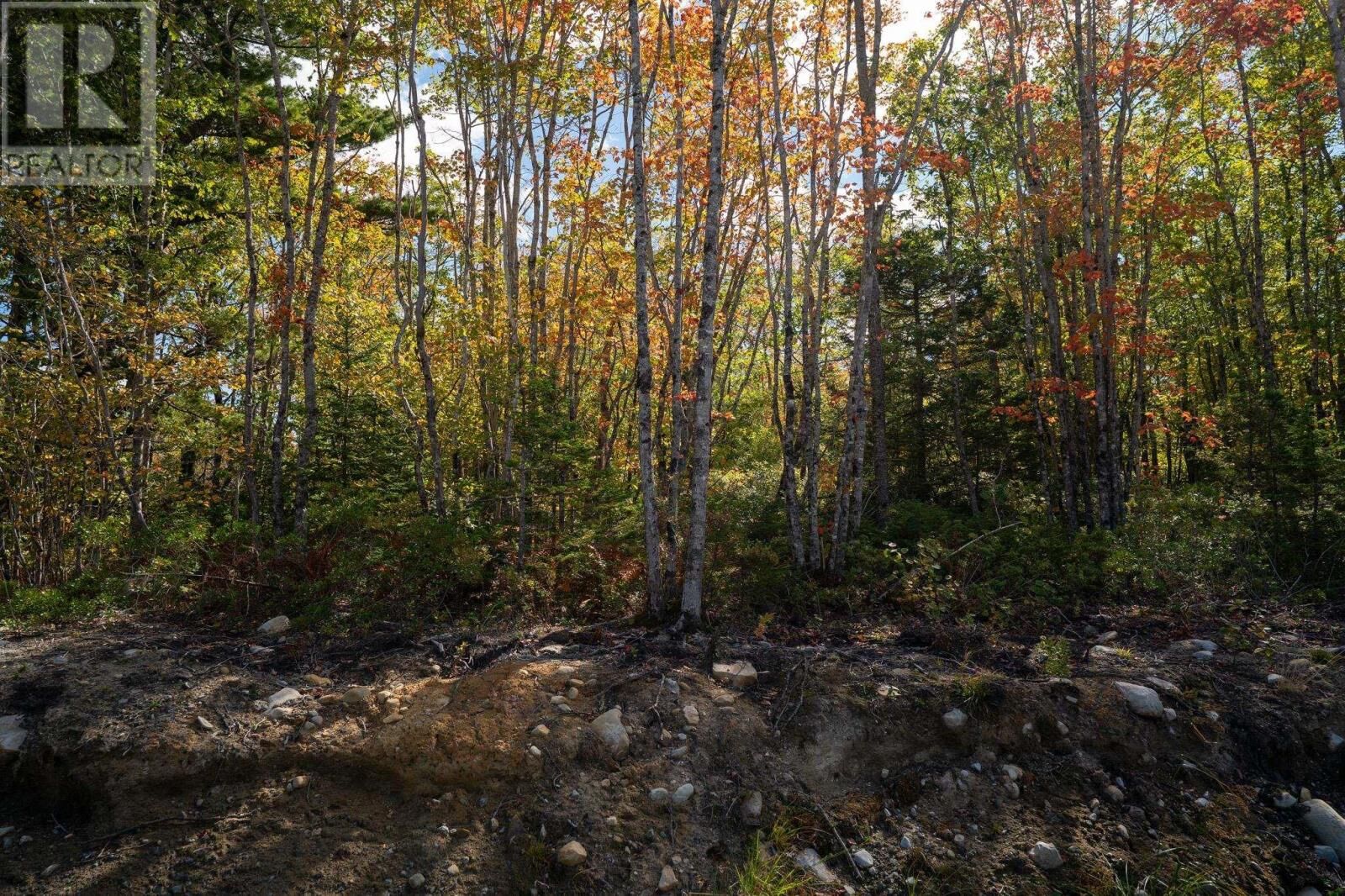 Property Photo:  88 Morton Drive  NS B0T 1K0 