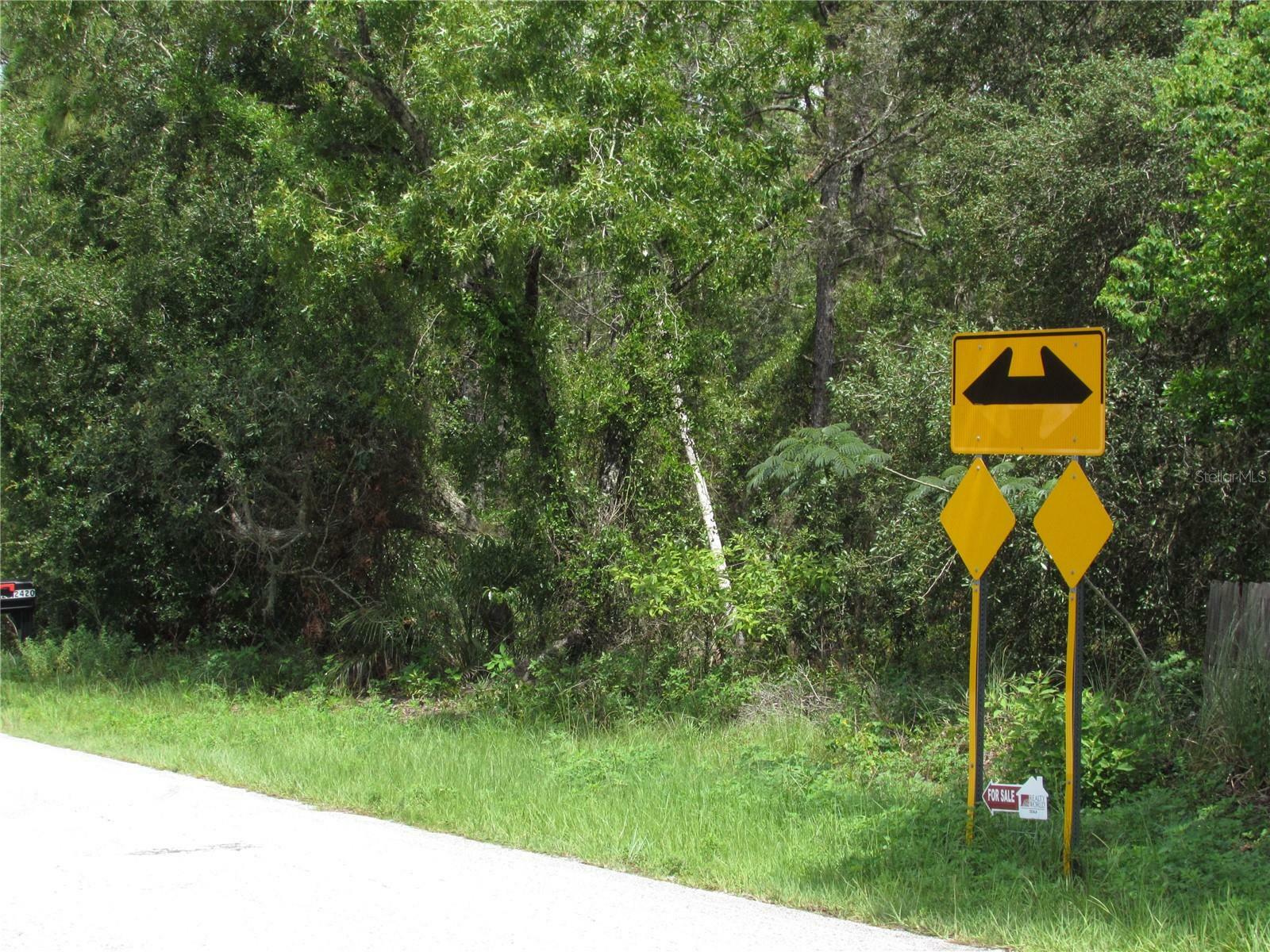 Property Photo:  Lot 35 SW Sea Cliffe Avenue  FL 34431 