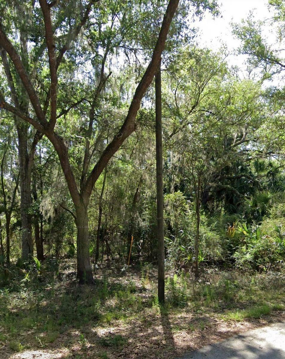 Property Photo:  8961 N Valentine Terrace  FL 34428 