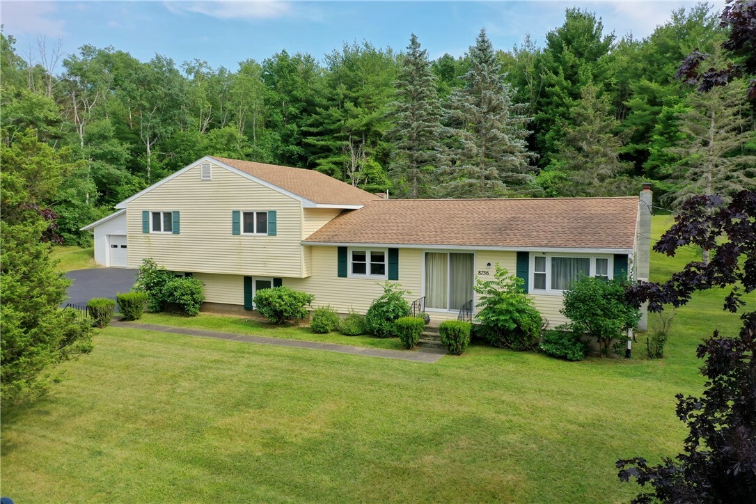 Property Photo:  8756 County Route 87  NY 14840 